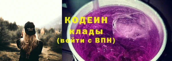 хмурый Нея