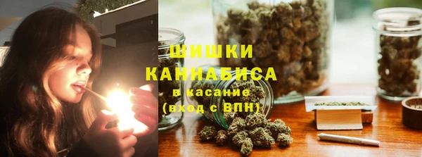 гашик Нефтекумск