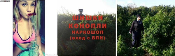 соль ск Надым