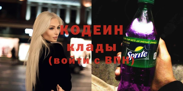 хмурый Нея
