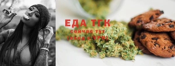 гашик Нефтекумск