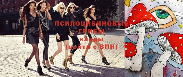 гашик Нефтекумск
