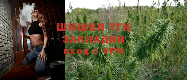 хмурый Нея