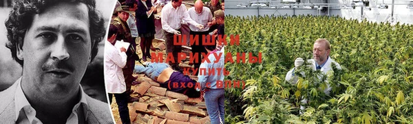 хмурый Нея