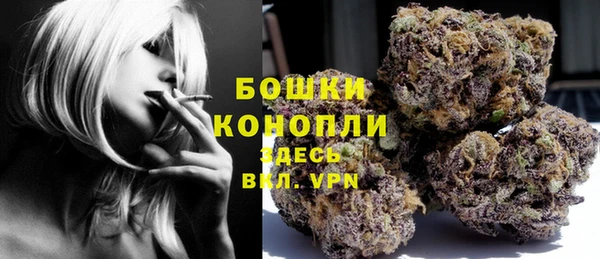 хмурый Нея