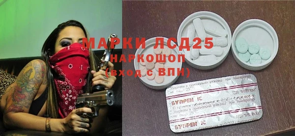 гашик Нефтекумск