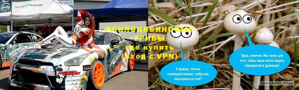 гашик Нефтекумск