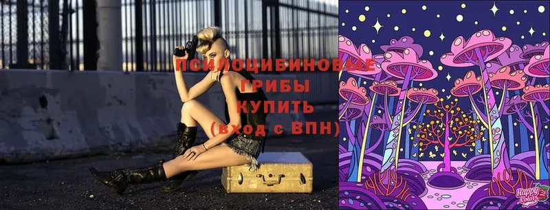 Псилоцибиновые грибы мицелий  Кириллов 