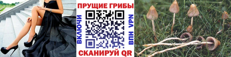 Псилоцибиновые грибы мухоморы  Кириллов 