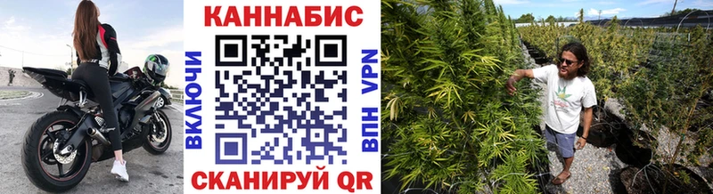 Бошки Шишки THC 21%  цена наркотик  Кириллов 